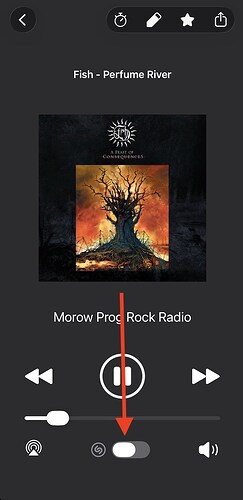 Shazam in iOS app